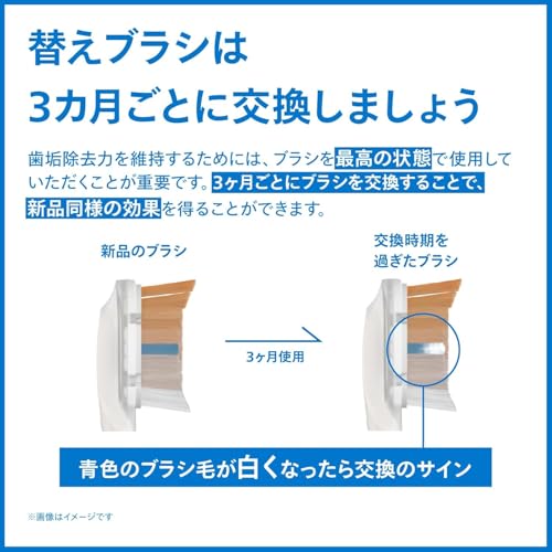 インターケアー ブラシヘッド レギュラー 6
