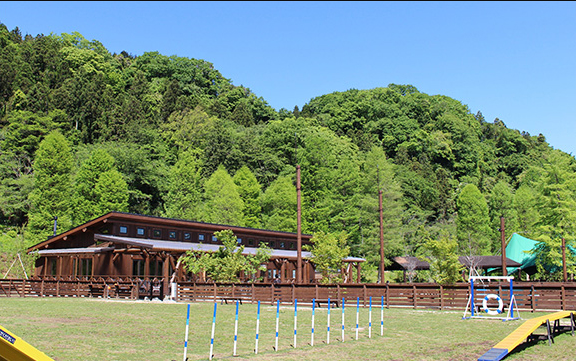 21年 東京都内のドッグランのおすすめ人気ランキング選 Mybest