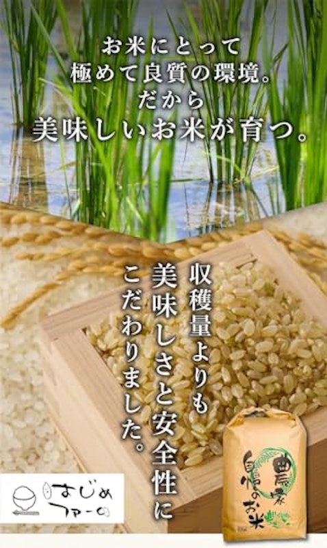 ヒノヒカリ 5