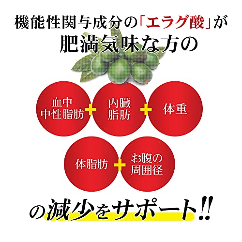 メタプラス ウエストマックス 4