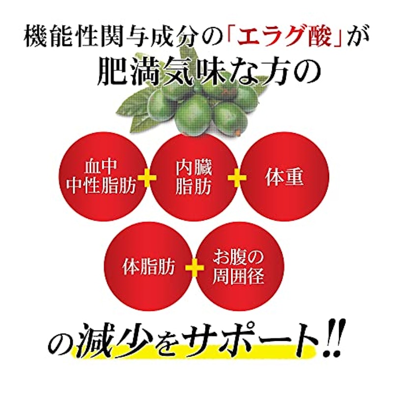 メタプラス ウエストマックス 4