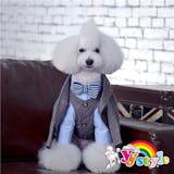 犬用タキシードのおすすめ人気ランキング【2026年8月】 4