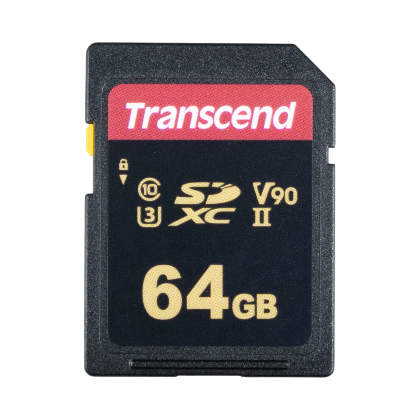 キオクシア KIOXIA EXCERIA PLUS SDXC UHS-I メモリカードを検証