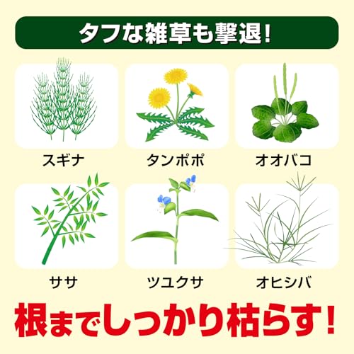 草退治ストロング 粒剤 5