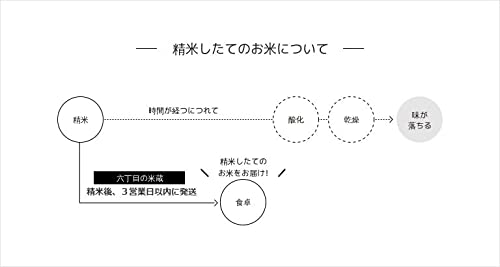 田んぼの詩 もち米 4