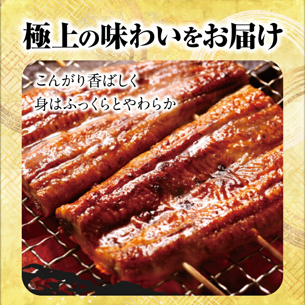 うなぎ蒲焼 3