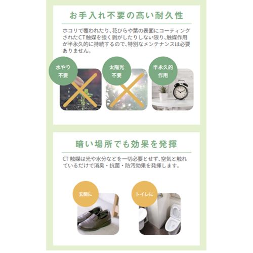 CT触媒フェイクグリーン3個セット 7