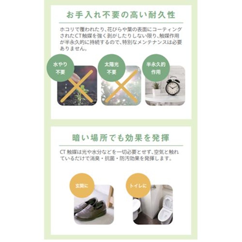 CT触媒フェイクグリーン3個セット 7