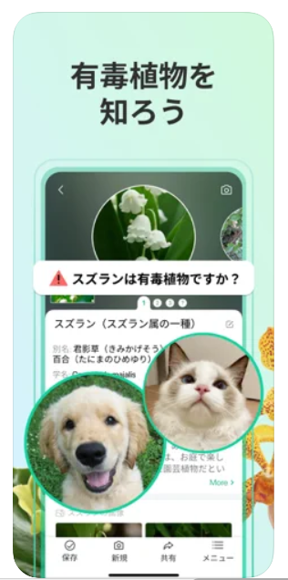 PictureThis 3