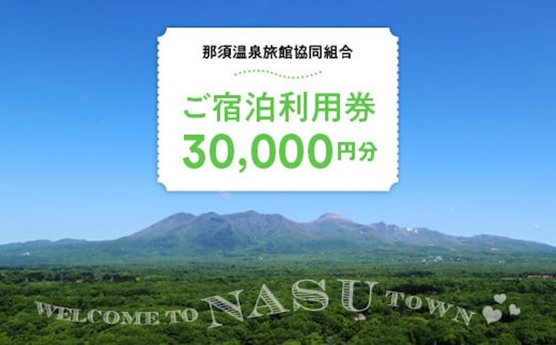 那須温泉旅館協同組合 ご宿泊利用券 30,000円分 1