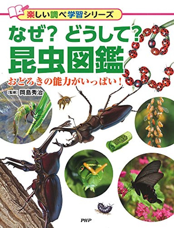 22年 昆虫図鑑のおすすめ人気ランキング13選 Mybest 22年 昆虫図鑑のおすすめ人気ランキング13選 Mybest
