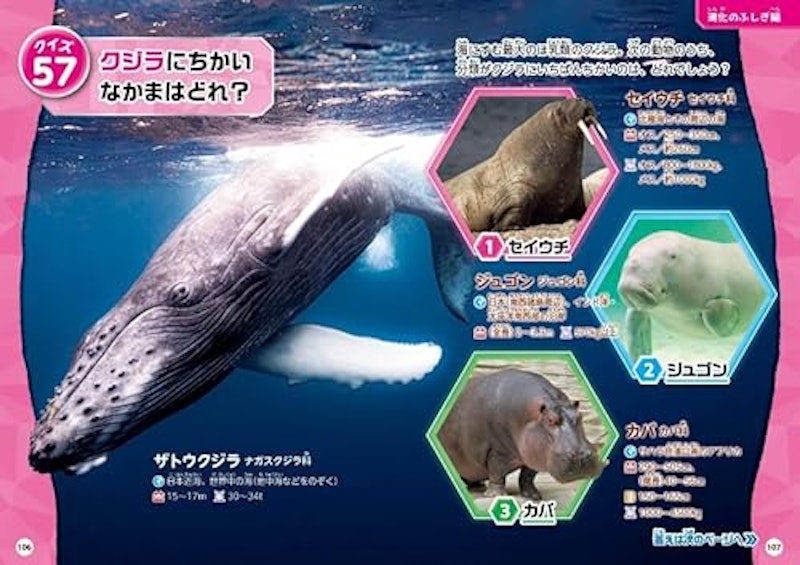 動物 超クイズ図鑑 4