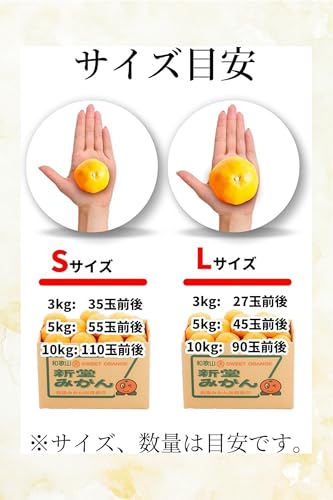新堂みかん 6