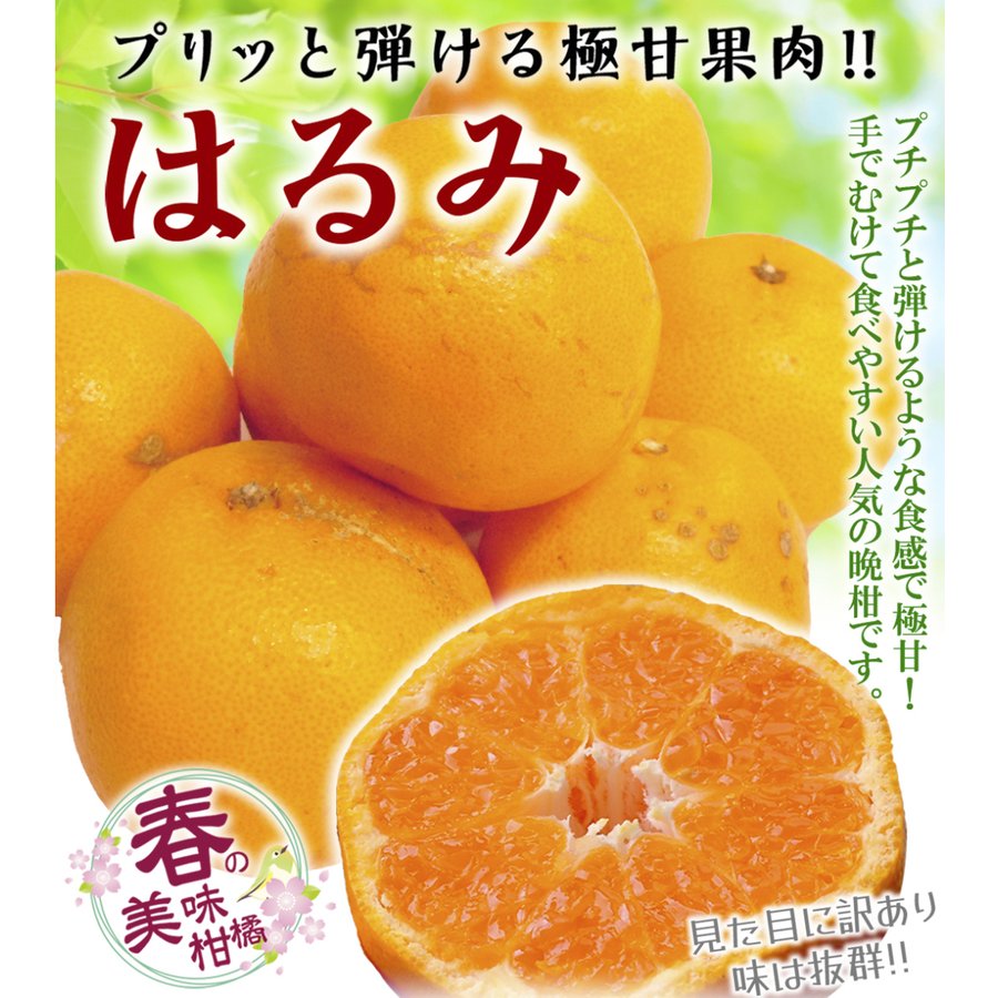訳ありはるみ 1