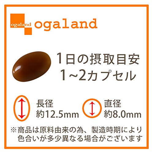ノコギリヤシ 2