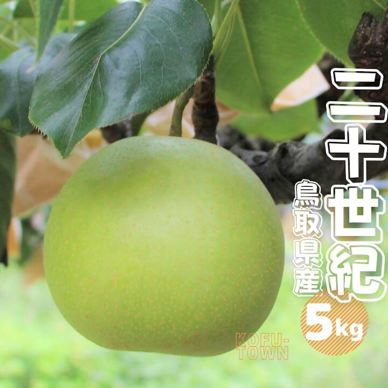 二十世紀梨 秀 1