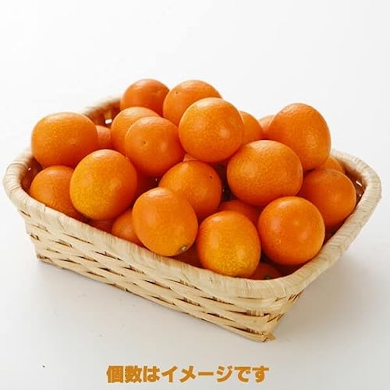 宮崎産 完熟 きんかん 4
