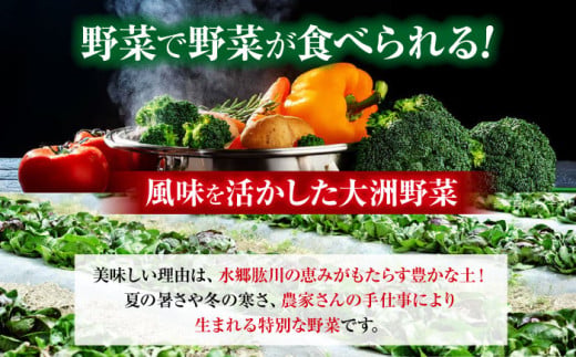 クリーン白米+旬のお野菜  定期便 4