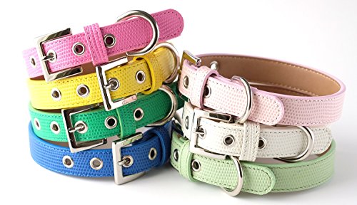 22年 チワワ用首輪のおすすめ人気ランキング19選 Mybest