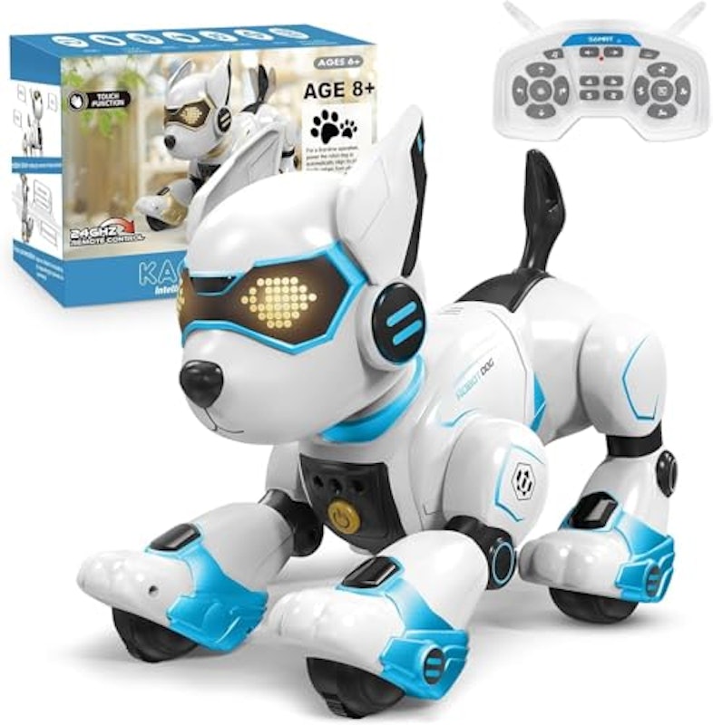 ロボット犬 1
