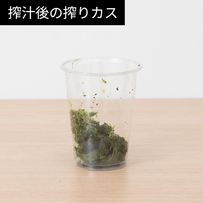 ミニスロージューサー 13