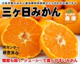 高級みかんのおすすめ人気ランキング 3