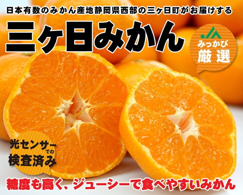 三ヶ日みかん 1
