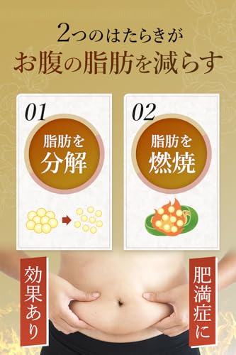 防風通聖散 貴秘薬 3