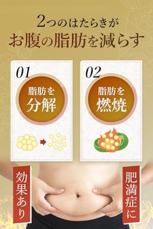 防風通聖散 貴秘薬 3