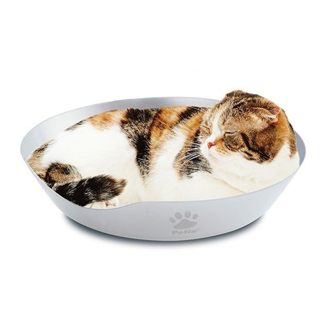 21年 猫用ひんやりマットのおすすめ人気ランキング10選 Mybest 21年 猫用ひんやりマットのおすすめ人気ランキング10選 Mybest