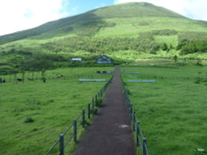 八丈富士ふれあい牧場 1