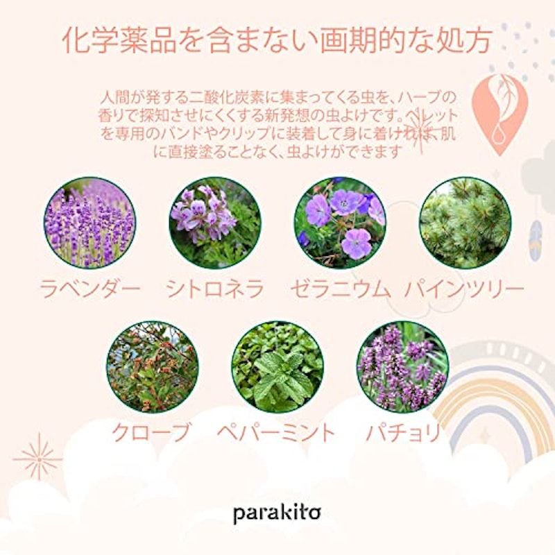 キッズバンド 5