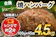 福岡県田川市 合挽焼ハンバーグ 1