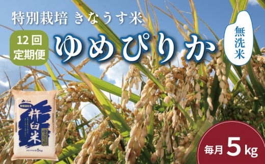 定期便 北海道産ゆめぴりか 1