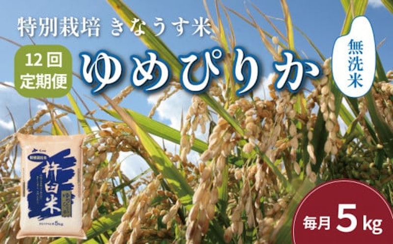 定期便 北海道産ゆめぴりか 1