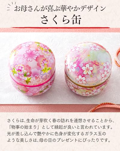 日本茶とカステラ さくら缶 3