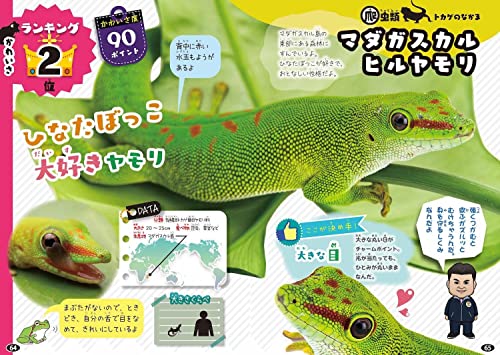 白輪園長の爬虫類・両生類ランキング大図鑑  5