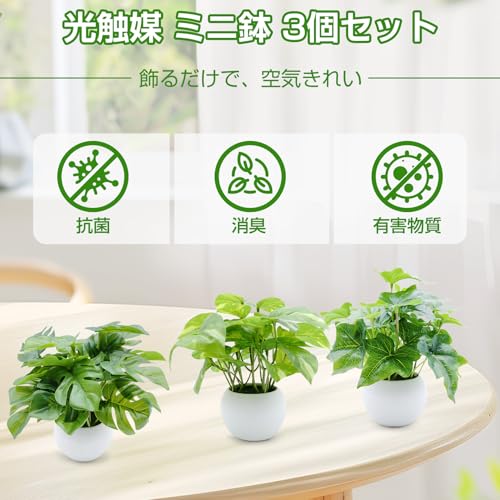 光触媒で加工された観葉植物のおすすめ人気ランキング【2026年9月