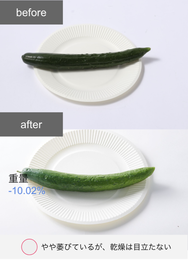 冷凍冷蔵庫 9