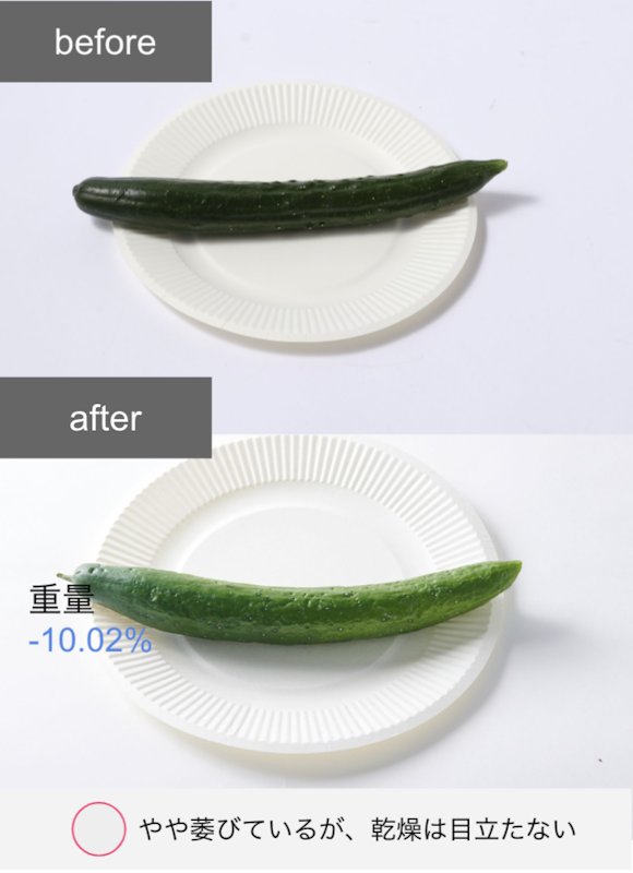 冷凍冷蔵庫 9