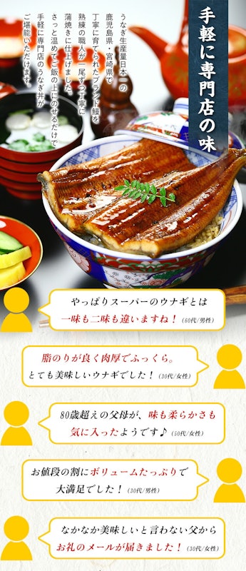 うなぎ蒲焼き 3