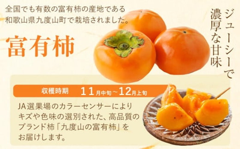 九度山の富有柿 2