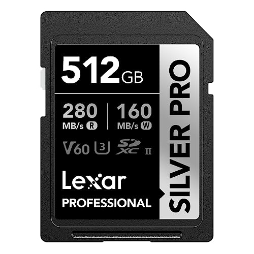 Professional SILVER PRO SDXC UHS-IIカード 1