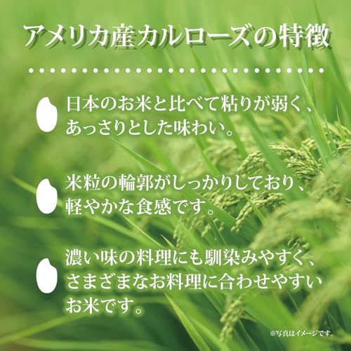 ミツハシ カルローズ 3