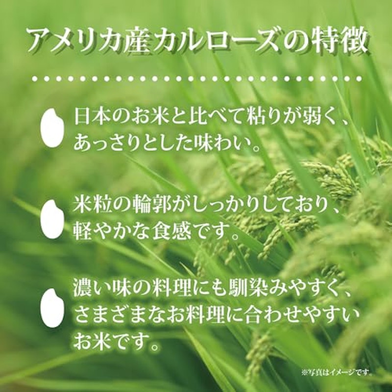 ミツハシ カルローズ 3