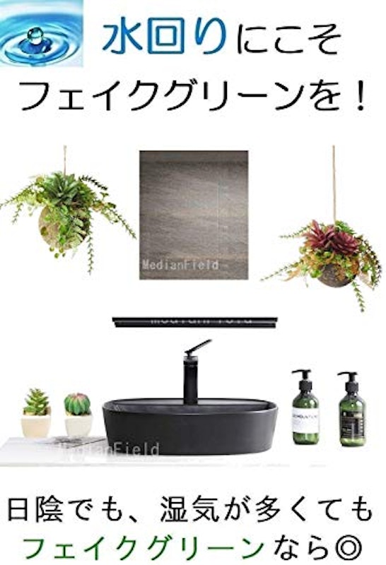 多肉植物 苔玉 4