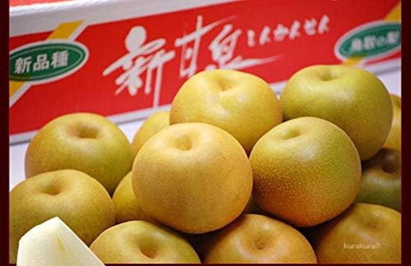 鳥取県産梨 新甘泉 2
