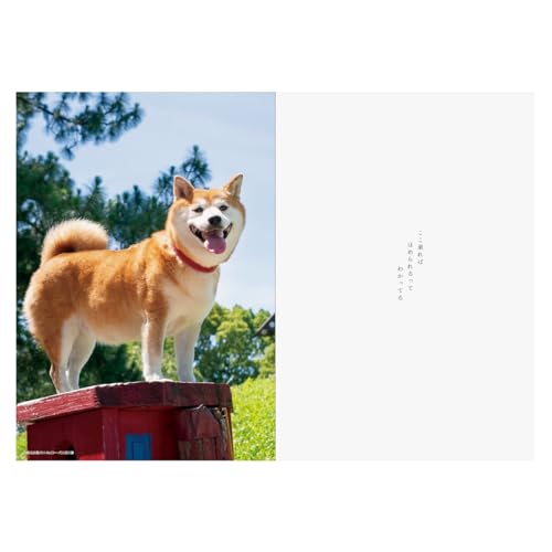 2026年手帳 B6 マンスリーダイアリー/犬川柳 3