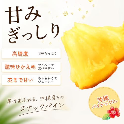 スナックパイン 3