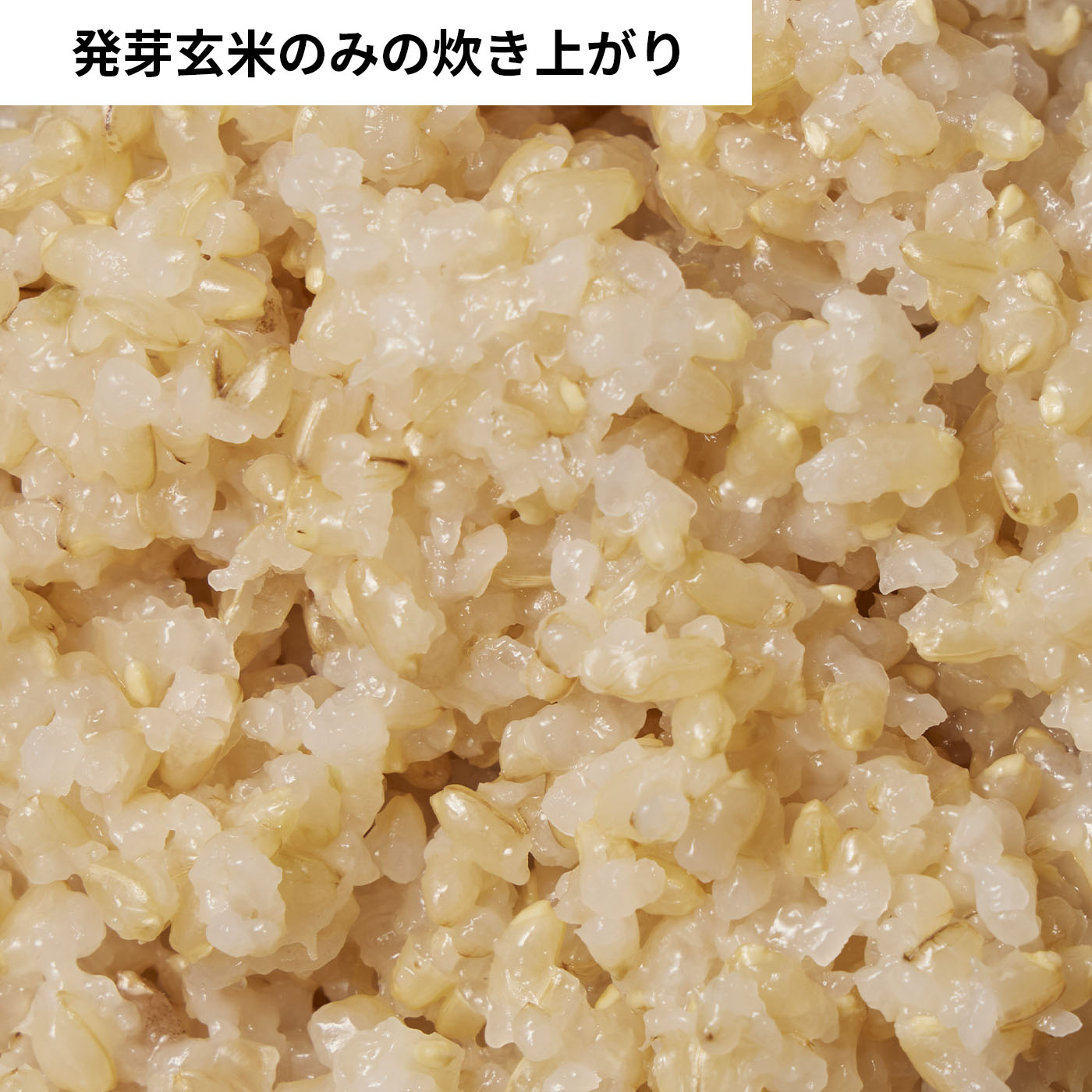 発芽玄米 いのちの壱 5
